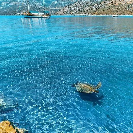 Yildiz Апартаменты